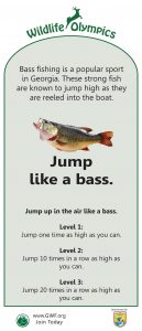 Jump Like a Bass