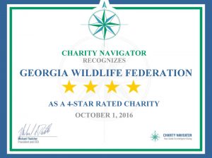 Charity Navigator 4-Star Certificate