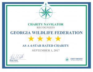 Charity Navigator 4-Star Certificate