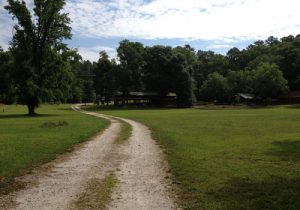 Tupelo Pavilion Field