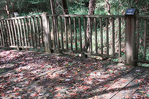 GWF Receives Funding to Repair Boardwalks at the Alcovy Conservation Center