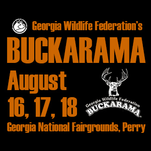 GWF Buckarama 2019