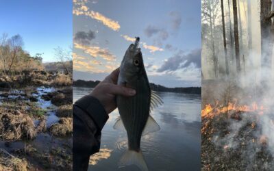 Hunting, Fishing, and Habitat: Late Winter and Early Spring