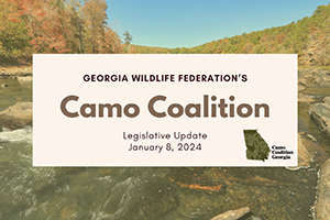 Camo Coalition Legislative Update: January 2024