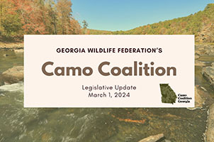 Camo Coalition Legislative Update: March 2024