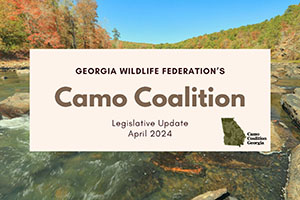 Camo Coalition Legislative Update: April 2024